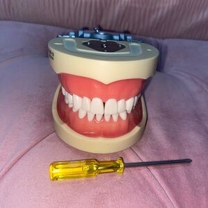 Nissin Dental Typodont Model with Hinged Jaw - Pink Silicone Gums, White Teeth